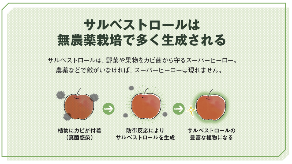 サルベストロールはどうやって生成されるの サルベストロール研究会